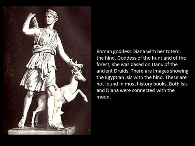 Diana - Goddess of the hunt