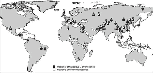 Microcephalin Haplogroup D migration map