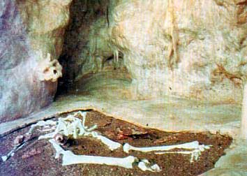 Petralona Cave Skull