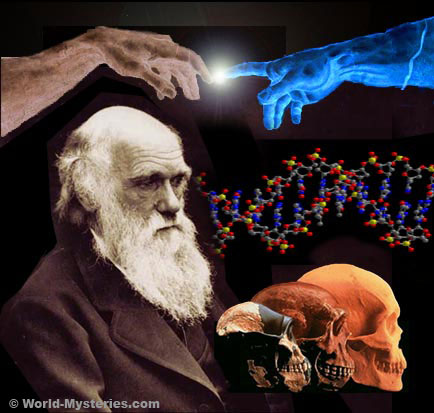 Darwin - DNA - Finger of God