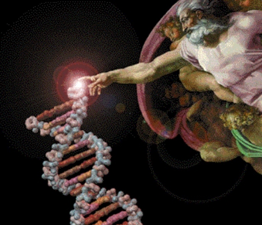 God sparks DNA